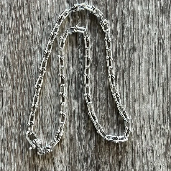 Tiffany & Co. Silver Link Necklace - Picture 1 of 6